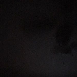 Meet your Posher, Bobbi